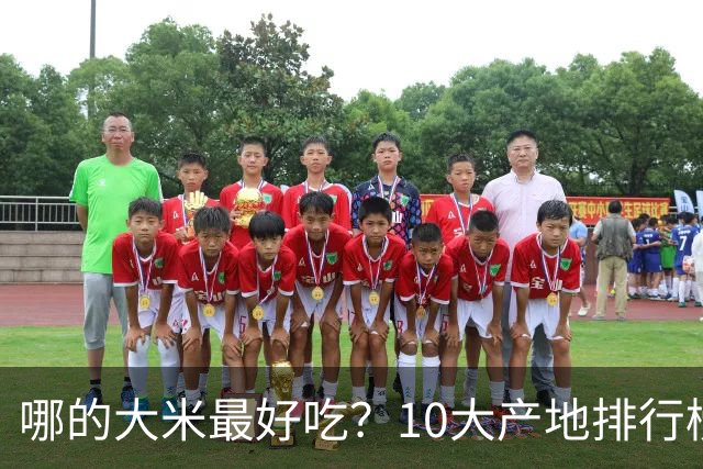 哪的大米最好吃？10大产地排行榜：五常第1，但“最健康”的答案不在产地，在米袋上