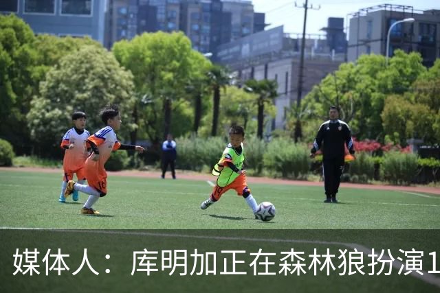 媒体人：库明加正在森林狼扮演1个更适合他的角色 康纳利真能淘啊