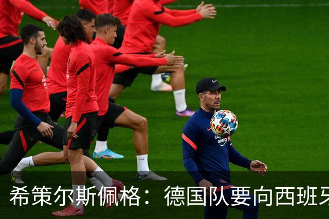 希策尔斯佩格：德国队要向西班牙学习，也要保留自身特点