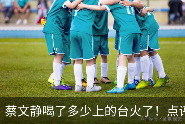 蔡文静喝了多少上的台火了！点评时反复说哥哥们非常帅