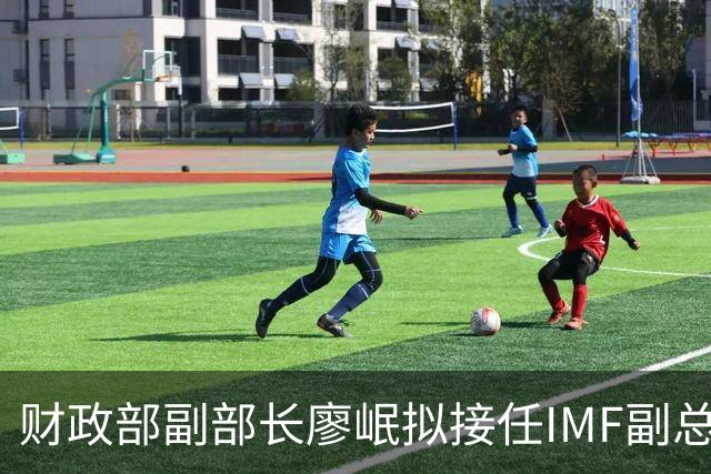 财政部副部长廖岷拟接任IMF副总裁，12月1日起生效；为第四位中国籍副总裁，曾任银监会办公厅主任、上海银监局局长等职