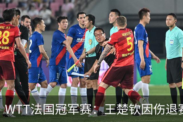 WTT法国冠军赛：王楚钦因伤退赛，国乒11人出战单打对决